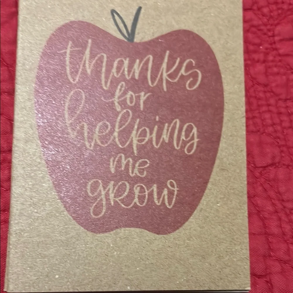 Inspirational Teacher small notebooks.